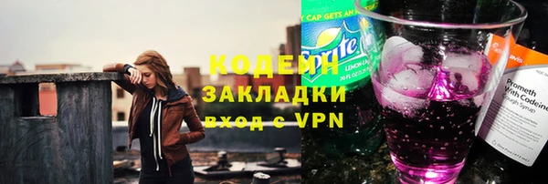 дживик Верхний Тагил