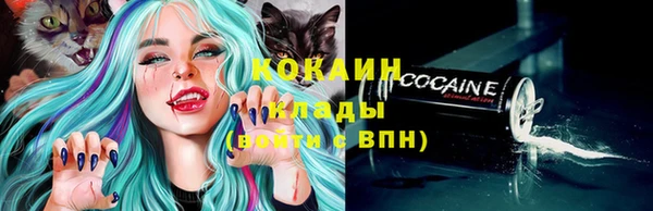 дживик Верхний Тагил