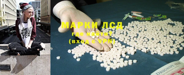 дживик Верхний Тагил
