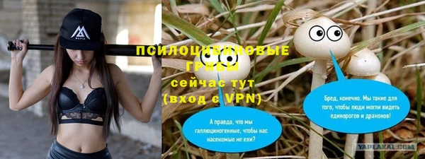 дживик Верхний Тагил